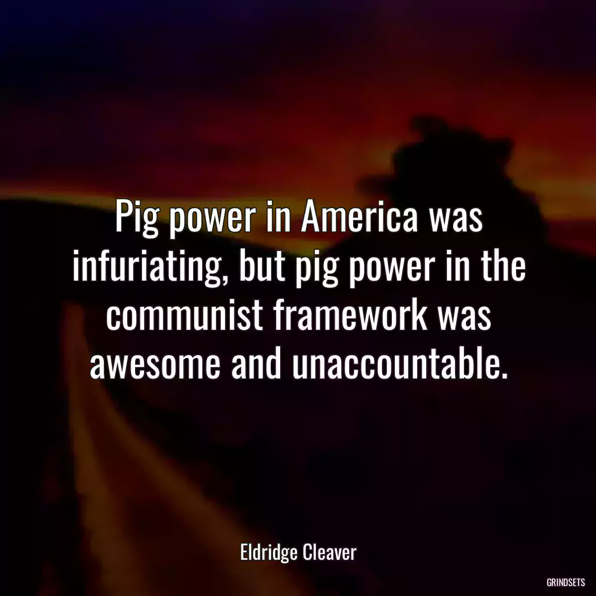 Pig power in America was infuriating, but pig power in the communist framework was awesome and unaccountable.