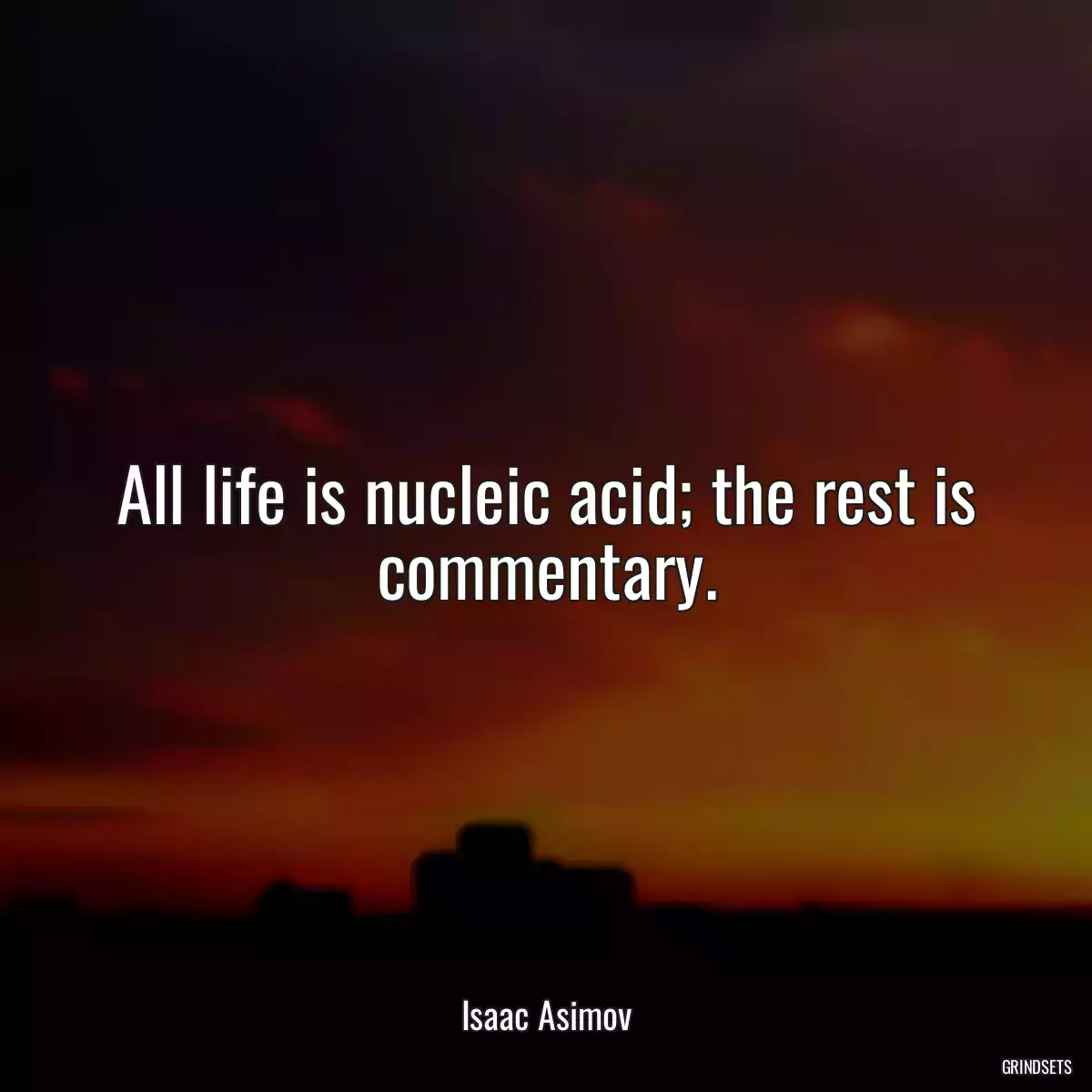 All life is nucleic acid; the rest is commentary.