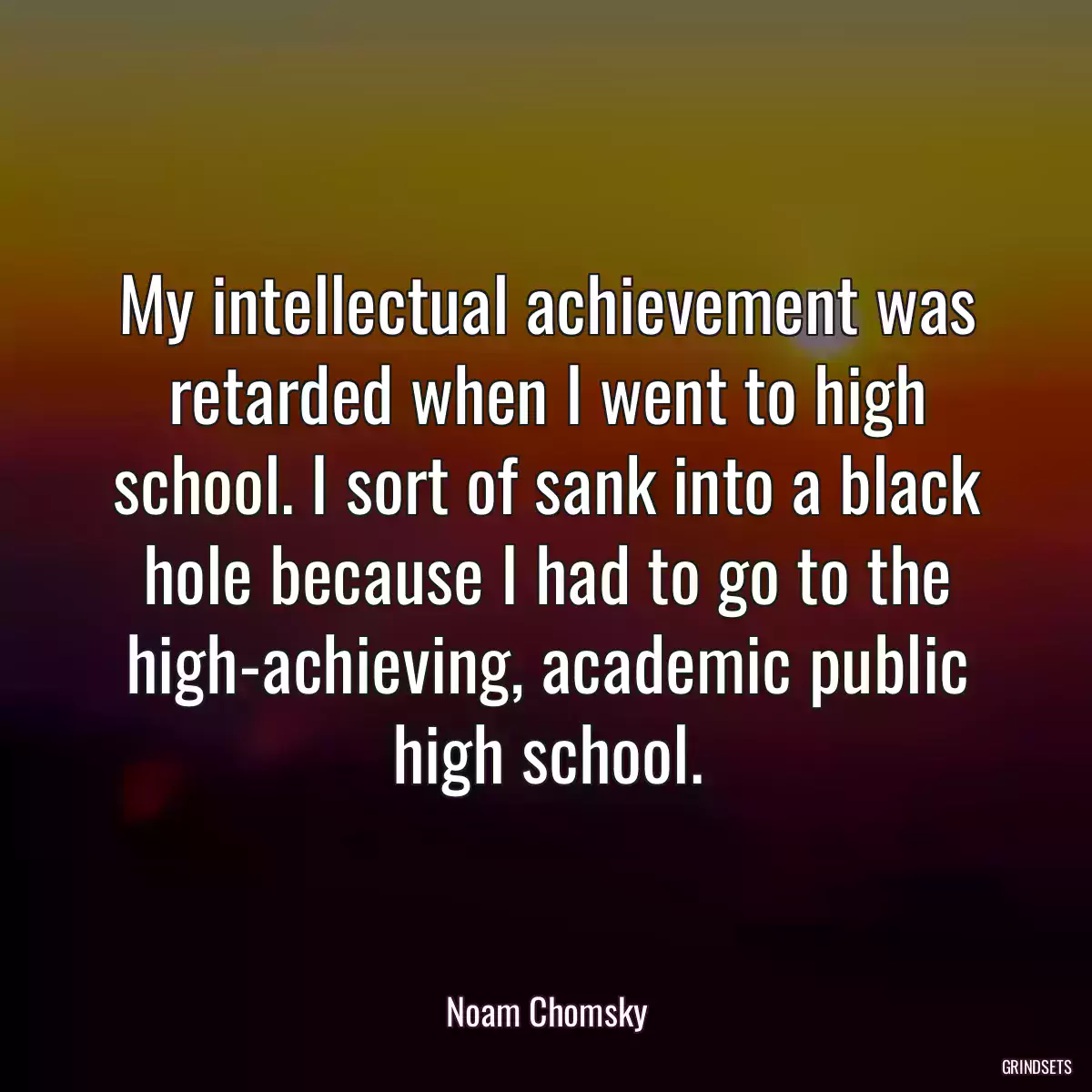 My intellectual achievement was retarded when I went to high school. I sort of sank into a black hole because I had to go to the high-achieving, academic public high school.