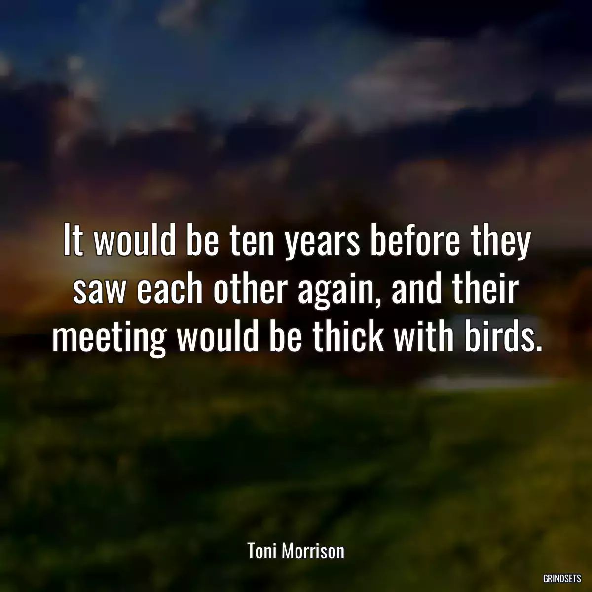 It would be ten years before they saw each other again, and their meeting would be thick with birds.
