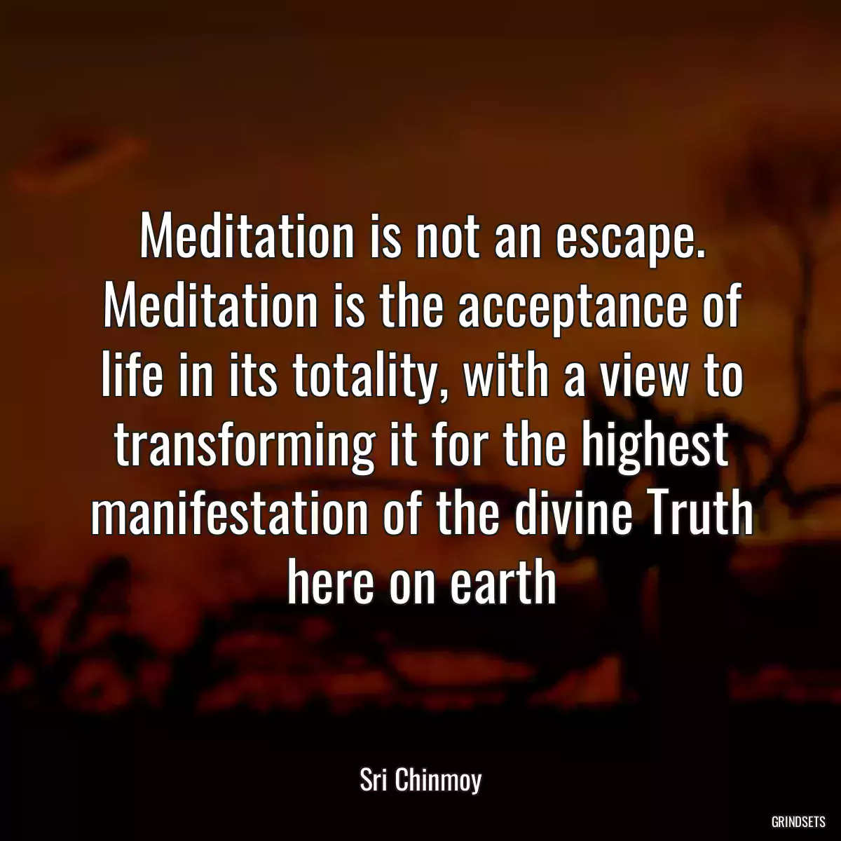 Meditation is not an escape. Meditation is the acceptance of life in its totality, with a view to transforming it for the highest manifestation of the divine Truth here on earth