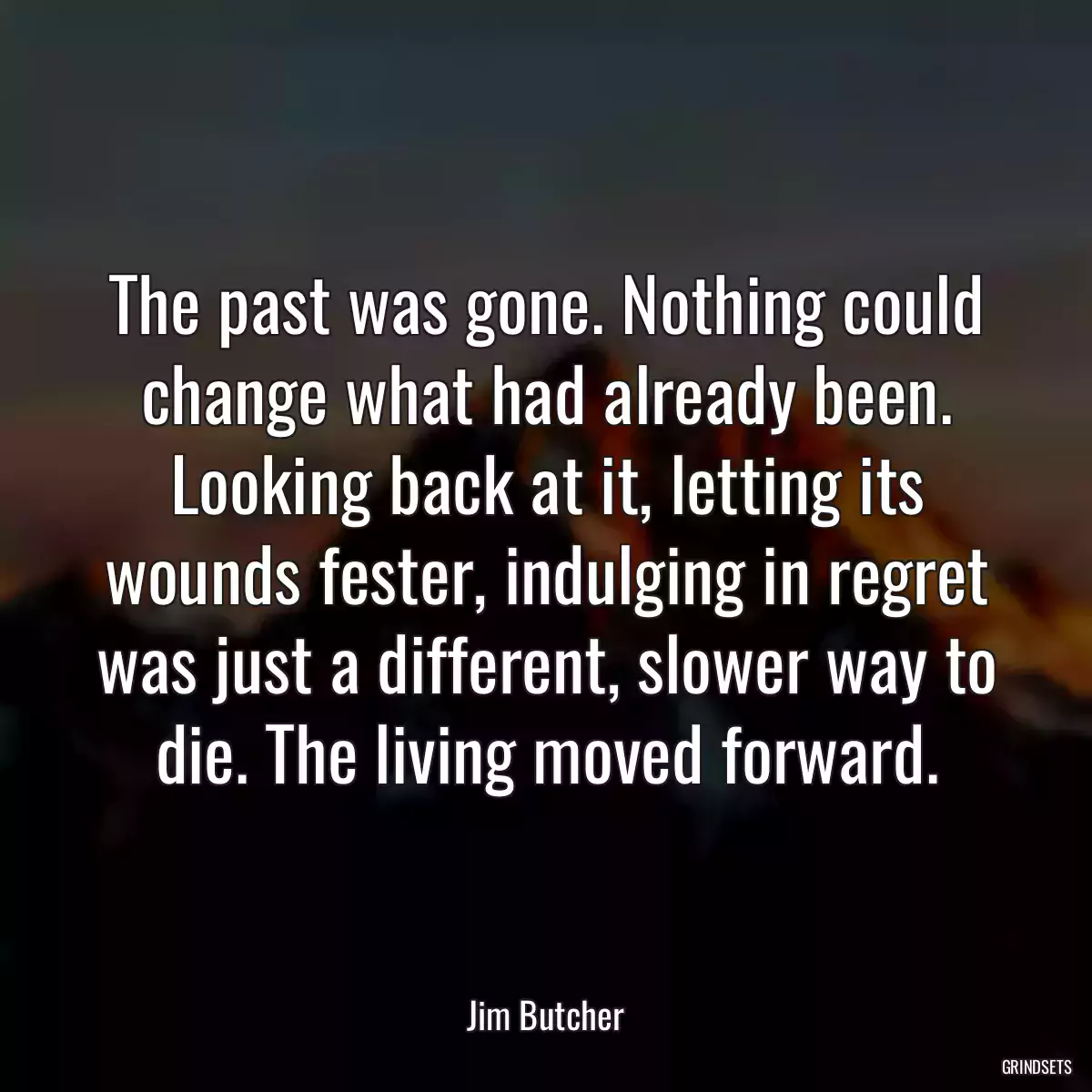 The past was gone. Nothing could change what had already been. Looking back at it, letting its wounds fester, indulging in regret was just a different, slower way to die. The living moved forward.