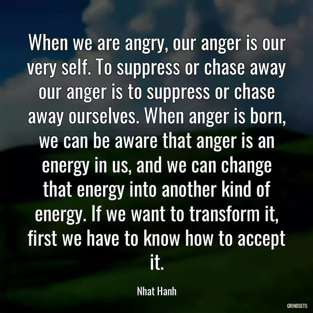 When we are angry, our anger is our very self. To suppress or chase away our anger is to suppress or chase away ourselves. When anger is born, we can be aware that anger is an energy in us, and we can change that energy into another kind of energy. If we want to transform it, first we have to know how to accept it.