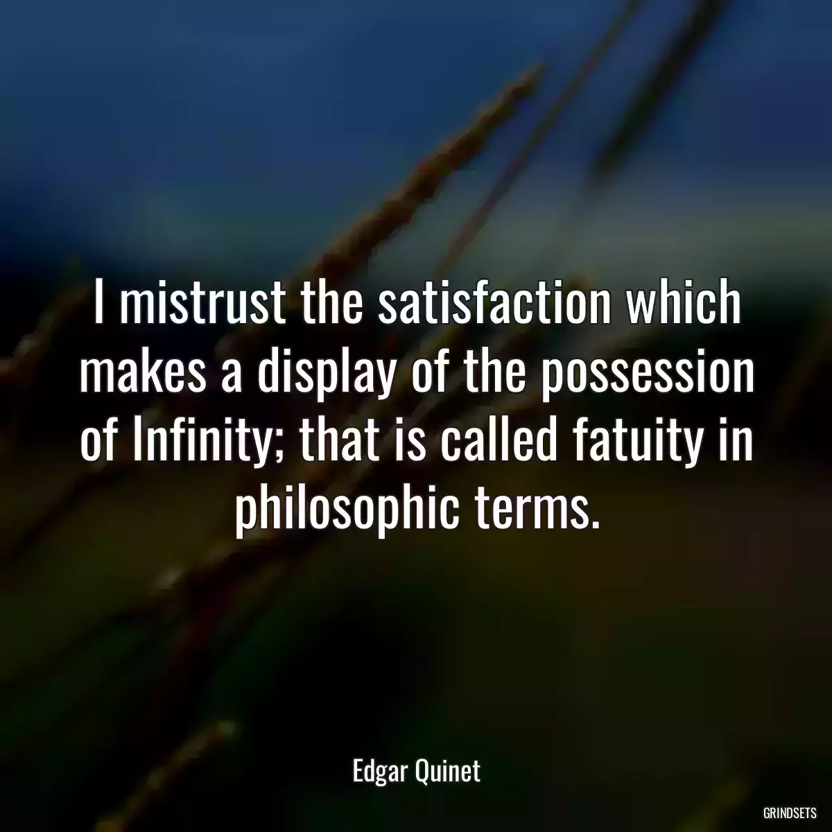 I mistrust the satisfaction which makes a display of the possession of Infinity; that is called fatuity in philosophic terms.