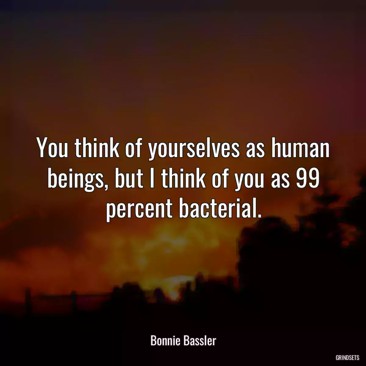 You think of yourselves as human beings, but I think of you as 99 percent bacterial.