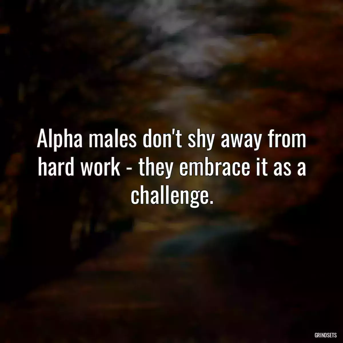 Alpha males don\'t shy away from hard work - they embrace it as a challenge.