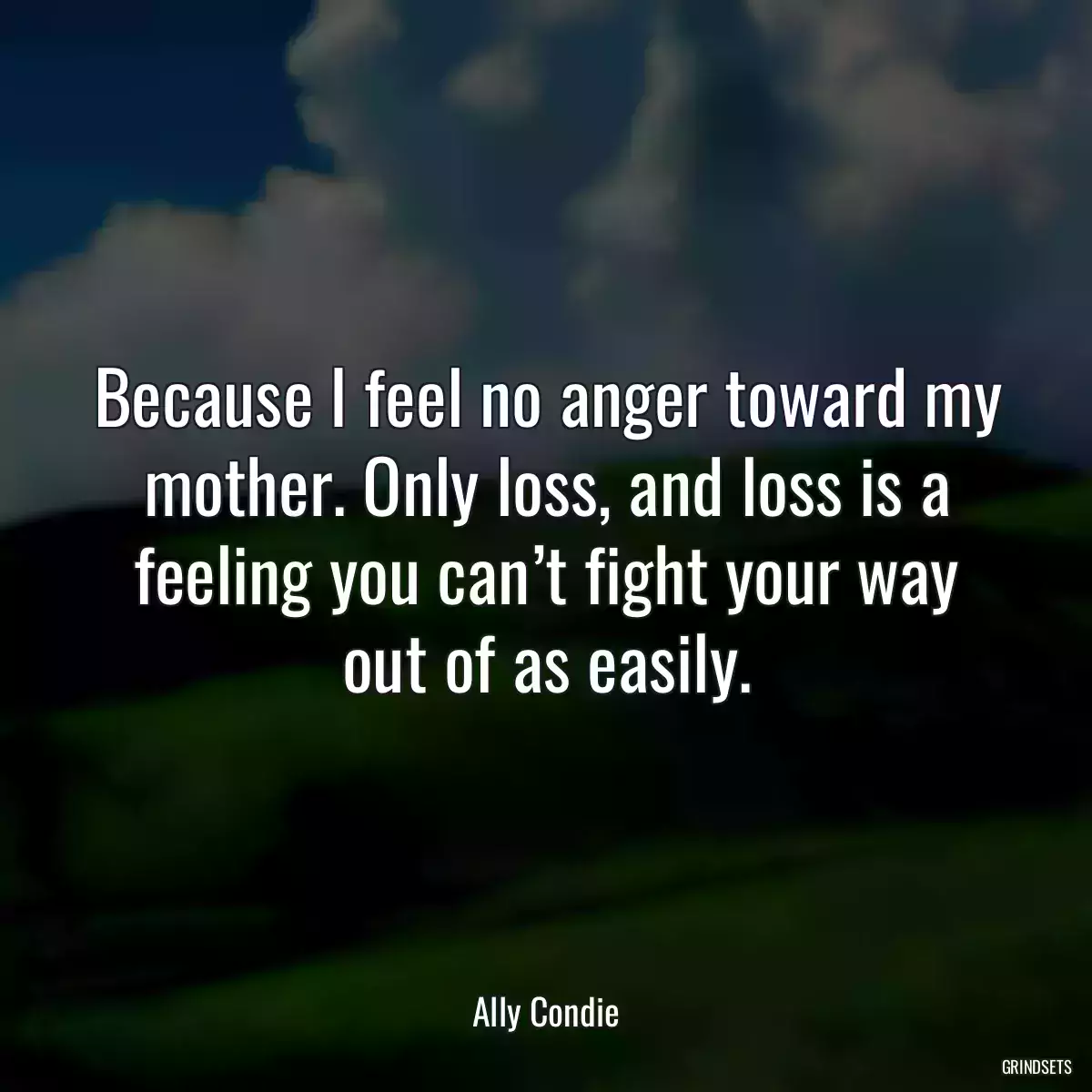 Because I feel no anger toward my mother. Only loss, and loss is a feeling you can’t fight your way out of as easily.