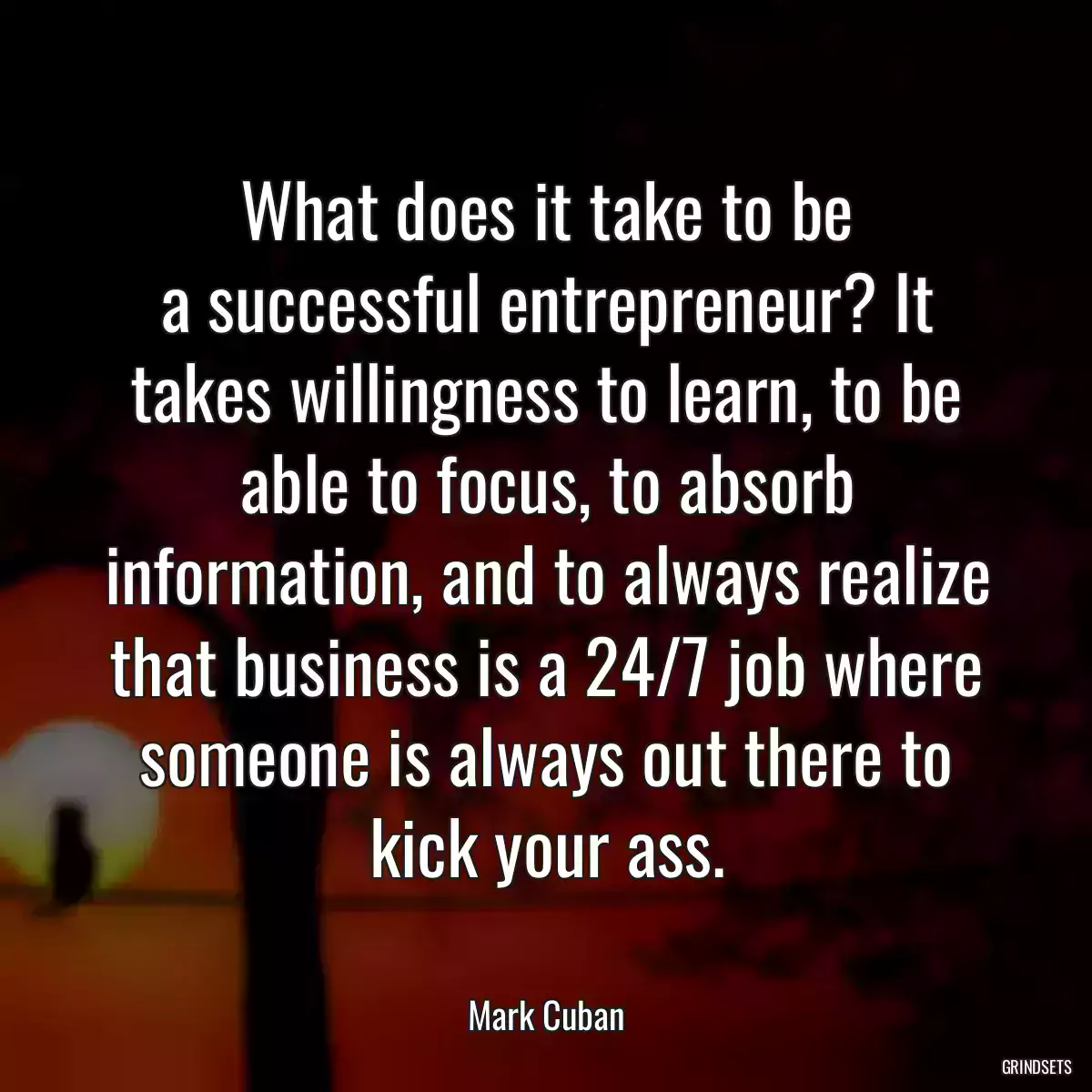 What does it take to be a successful entrepreneur? It takes willingness to learn, to be able to focus, to absorb information, and to always realize that business is a 24/7 job where someone is always out there to kick your ass.