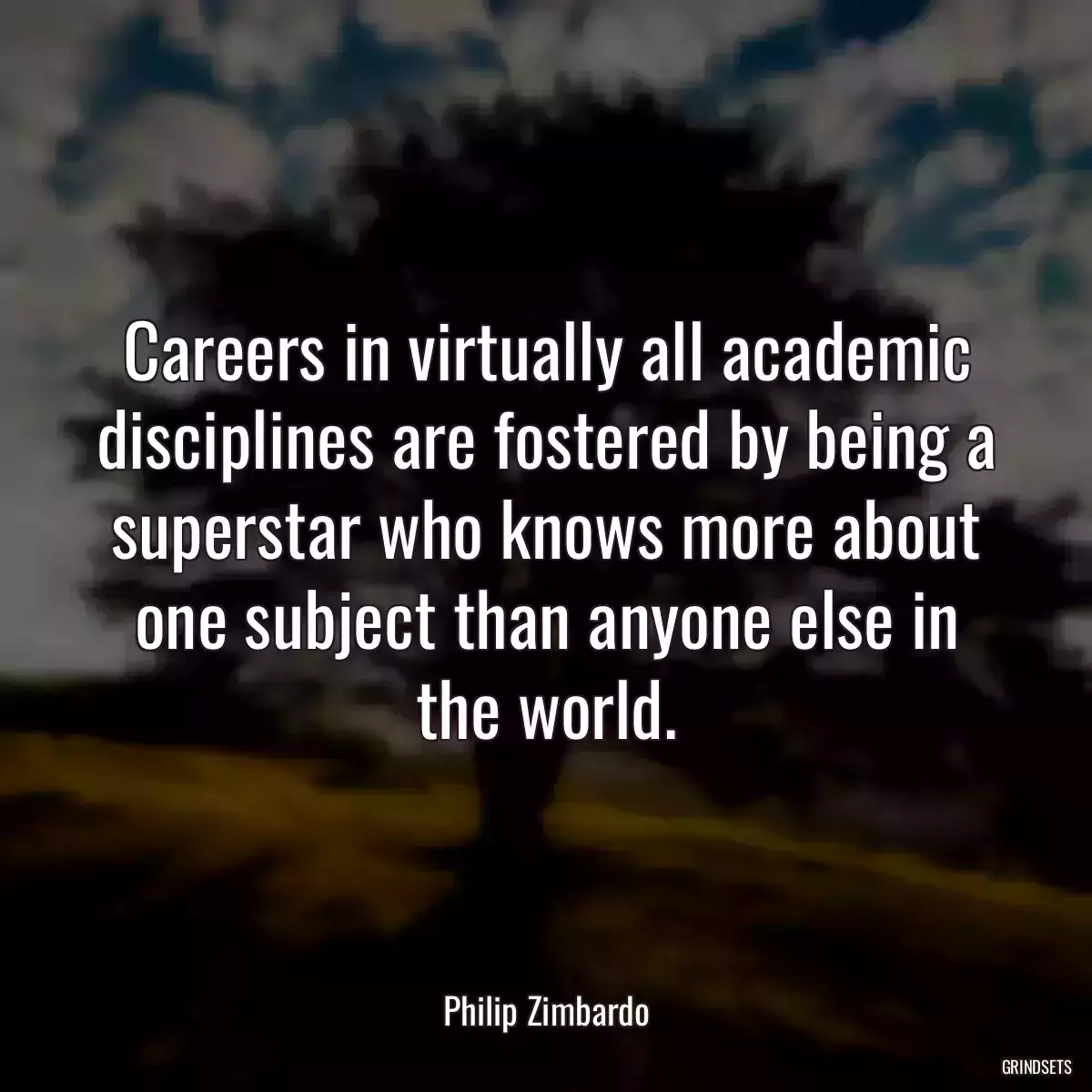 Careers in virtually all academic disciplines are fostered by being a superstar who knows more about one subject than anyone else in the world.