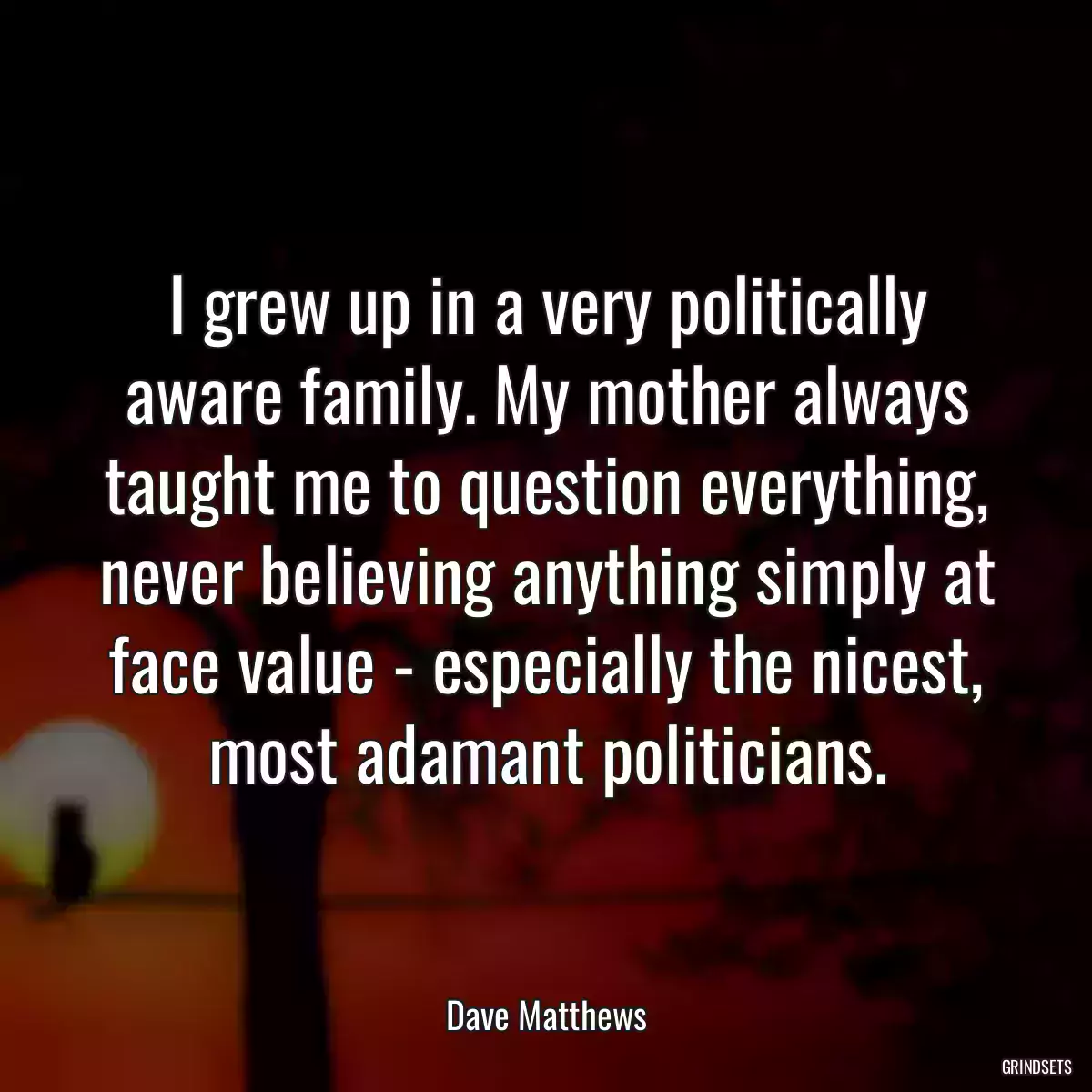 I grew up in a very politically aware family. My mother always taught me to question everything, never believing anything simply at face value - especially the nicest, most adamant politicians.