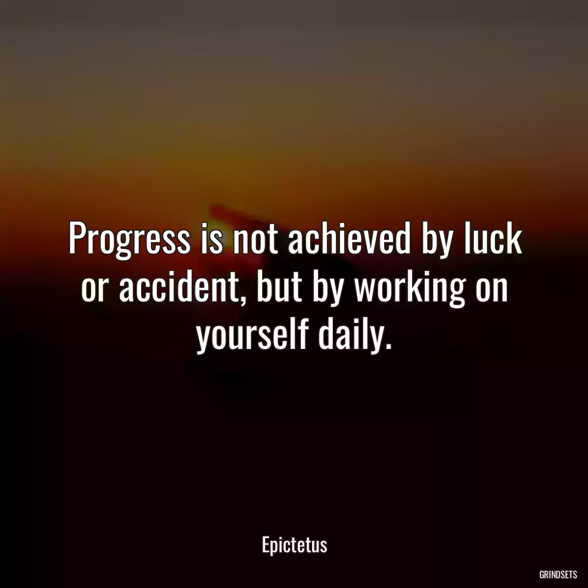 Progress is not achieved by luck or accident, but by working on yourself daily.