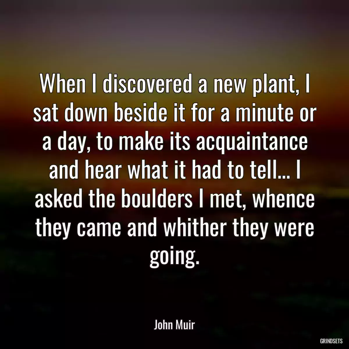 When I discovered a new plant, I sat down beside it for a minute or a day, to make its acquaintance and hear what it had to tell... I asked the boulders I met, whence they came and whither they were going.