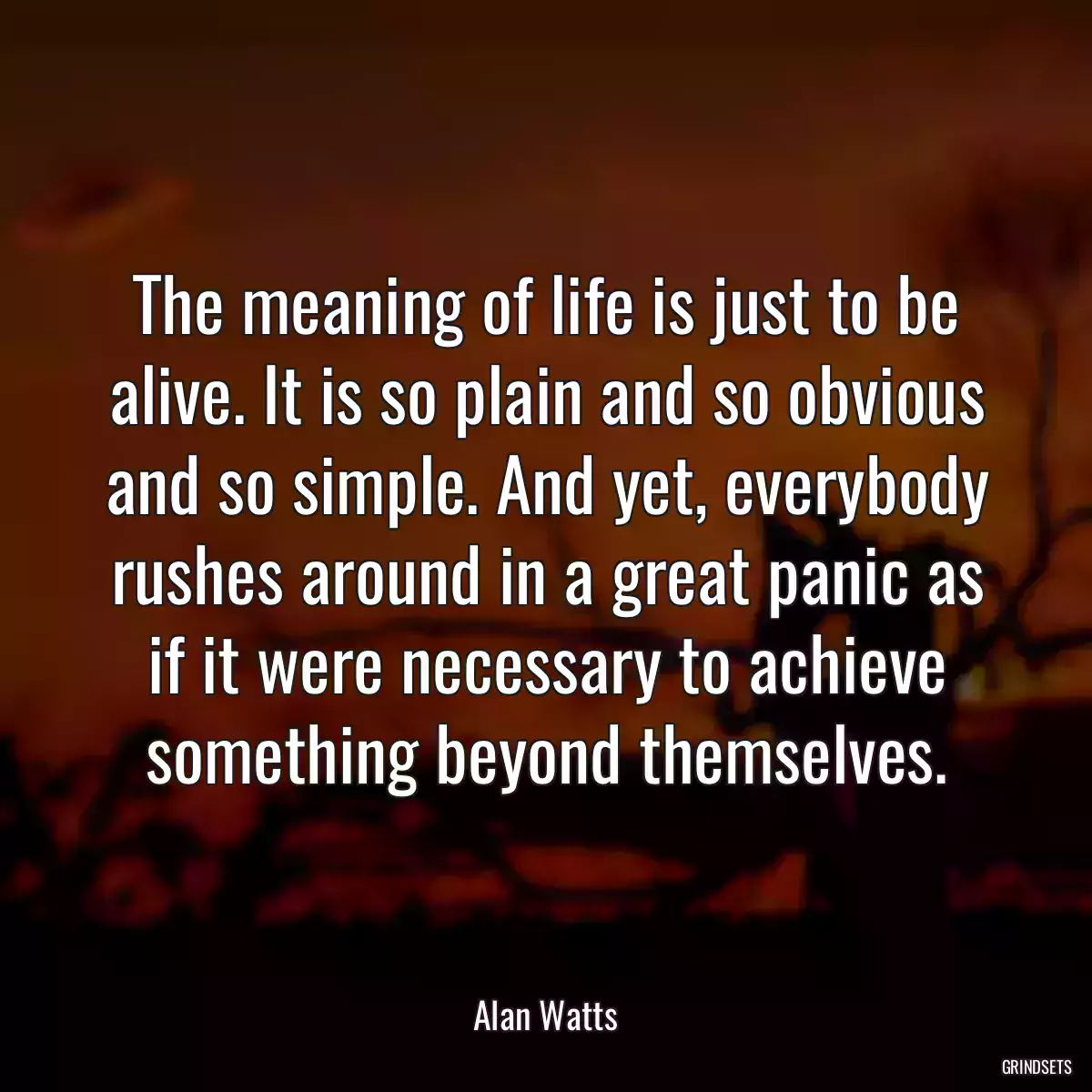 The meaning of life is just to be alive. It is so plain and so obvious and so simple. And yet, everybody rushes around in a great panic as if it were necessary to achieve something beyond themselves.