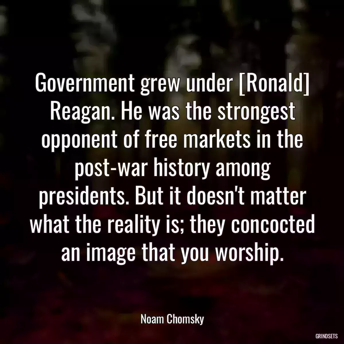 Government grew under [Ronald] Reagan. He was the strongest opponent of free markets in the post-war history among presidents. But it doesn\'t matter what the reality is; they concocted an image that you worship.