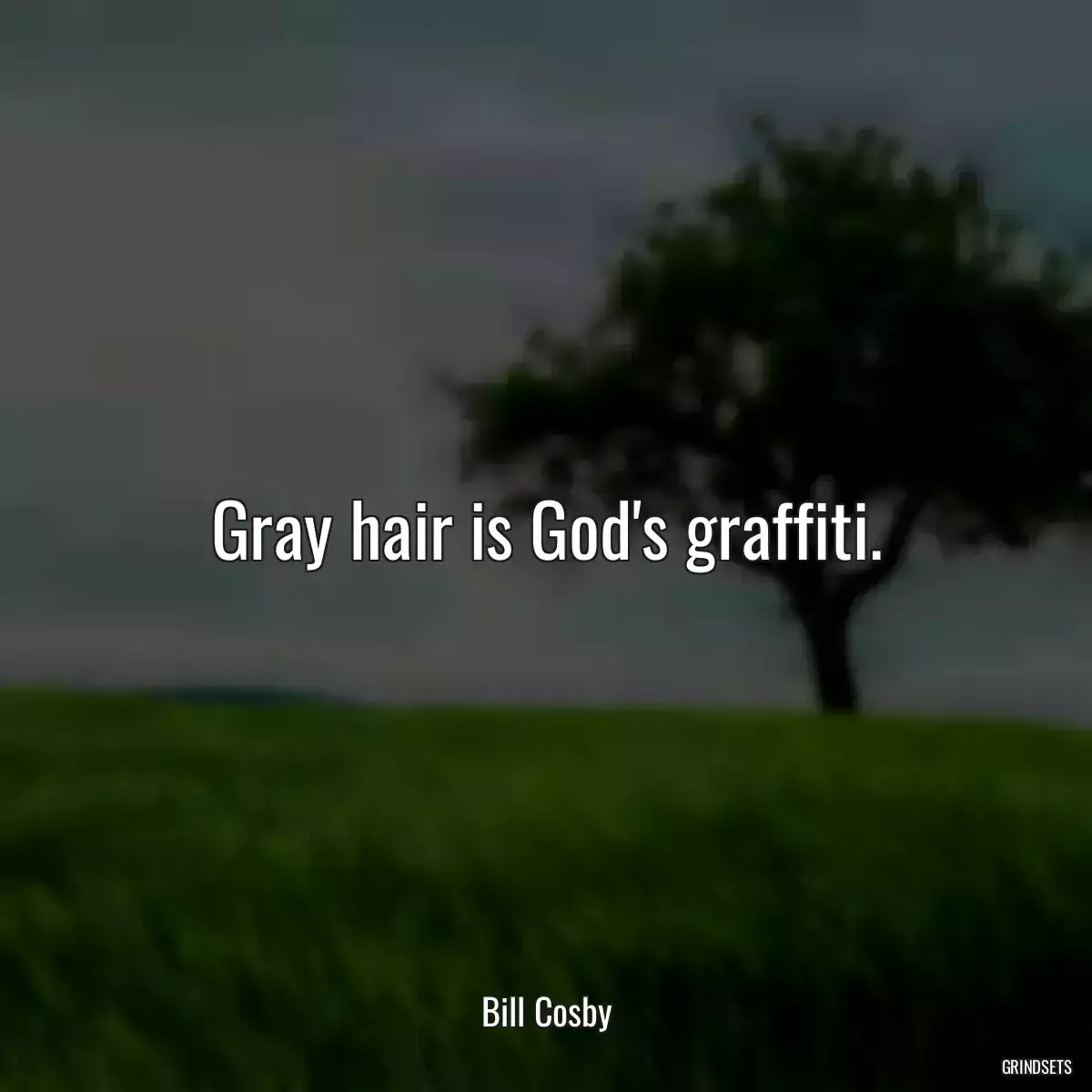 Gray hair is God\'s graffiti.