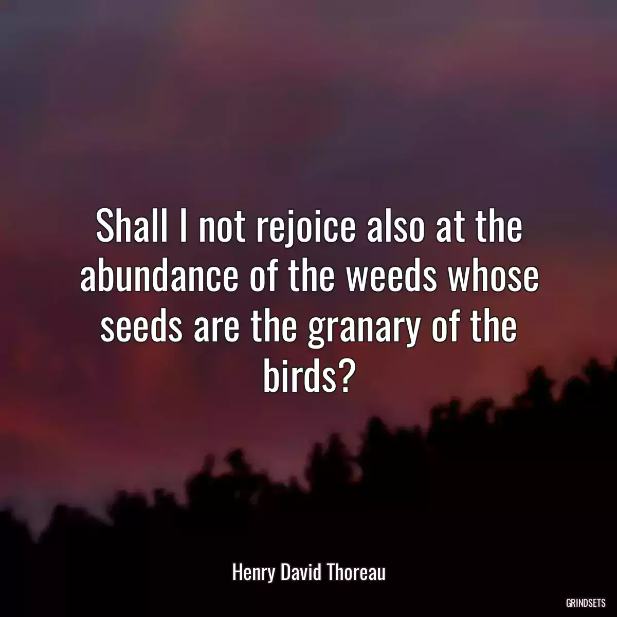 Shall I not rejoice also at the abundance of the weeds whose seeds are the granary of the birds?