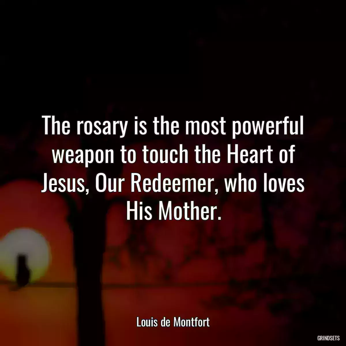 The rosary is the most powerful weapon to touch the Heart of Jesus, Our Redeemer, who loves His Mother.