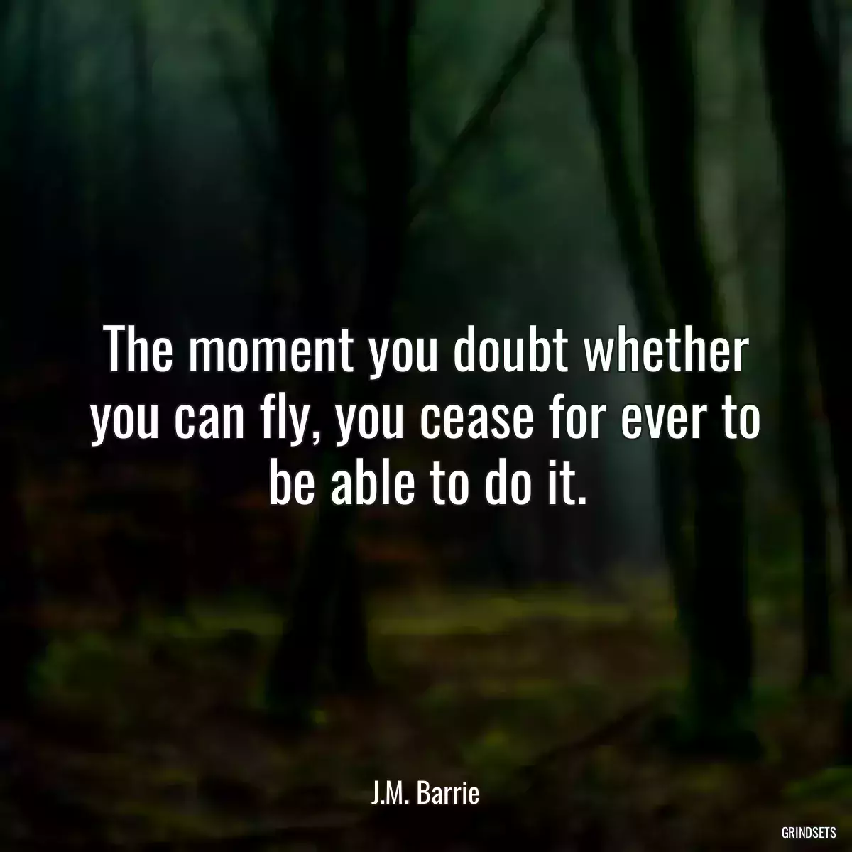 The moment you doubt whether you can fly, you cease for ever to be able to do it.