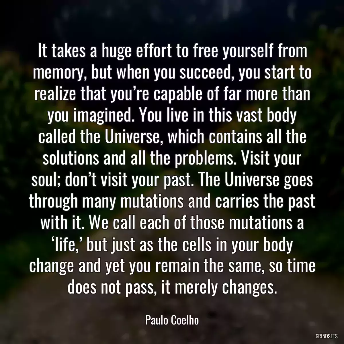 It takes a huge effort to free yourself from memory, but when you succeed, you start to realize that you’re capable of far more than you imagined. You live in this vast body called the Universe, which contains all the solutions and all the problems. Visit your soul; don’t visit your past. The Universe goes through many mutations and carries the past with it. We call each of those mutations a ‘life,’ but just as the cells in your body change and yet you remain the same, so time does not pass, it merely changes.