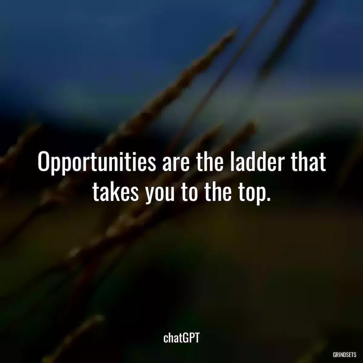 Opportunities are the ladder that takes you to the top.