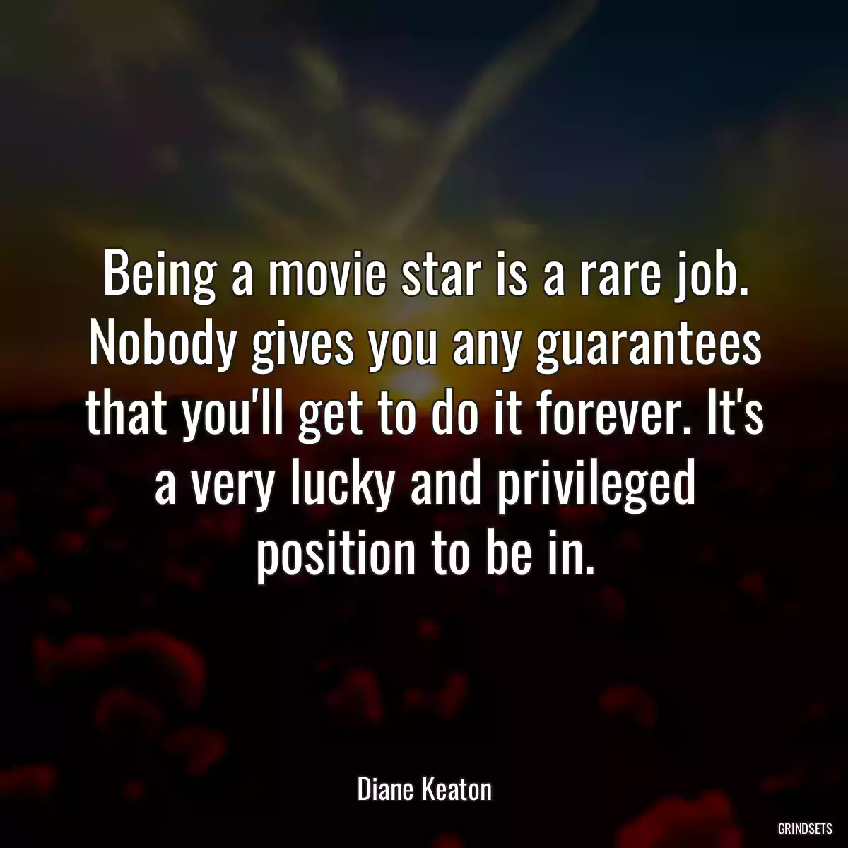 Being a movie star is a rare job. Nobody gives you any guarantees that you\'ll get to do it forever. It\'s a very lucky and privileged position to be in.