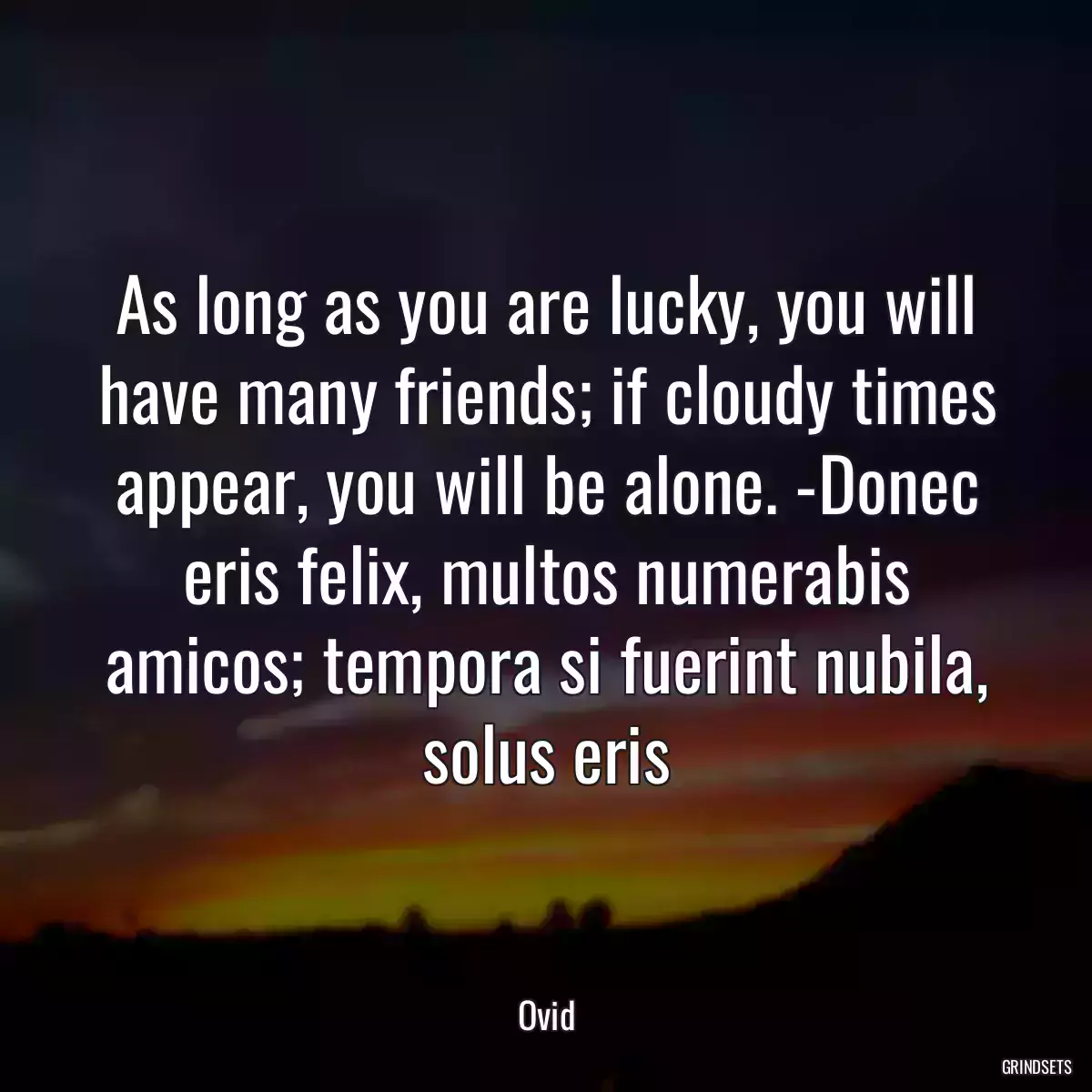 As long as you are lucky, you will have many friends; if cloudy times appear, you will be alone. -Donec eris felix, multos numerabis amicos; tempora si fuerint nubila, solus eris