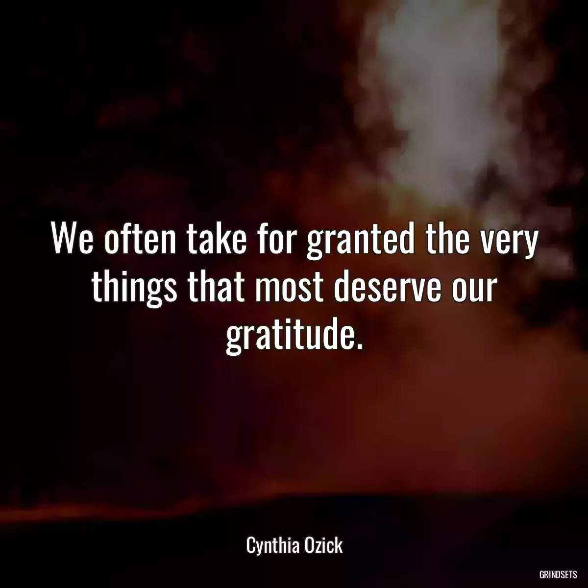 We often take for granted the very things that most deserve our gratitude.