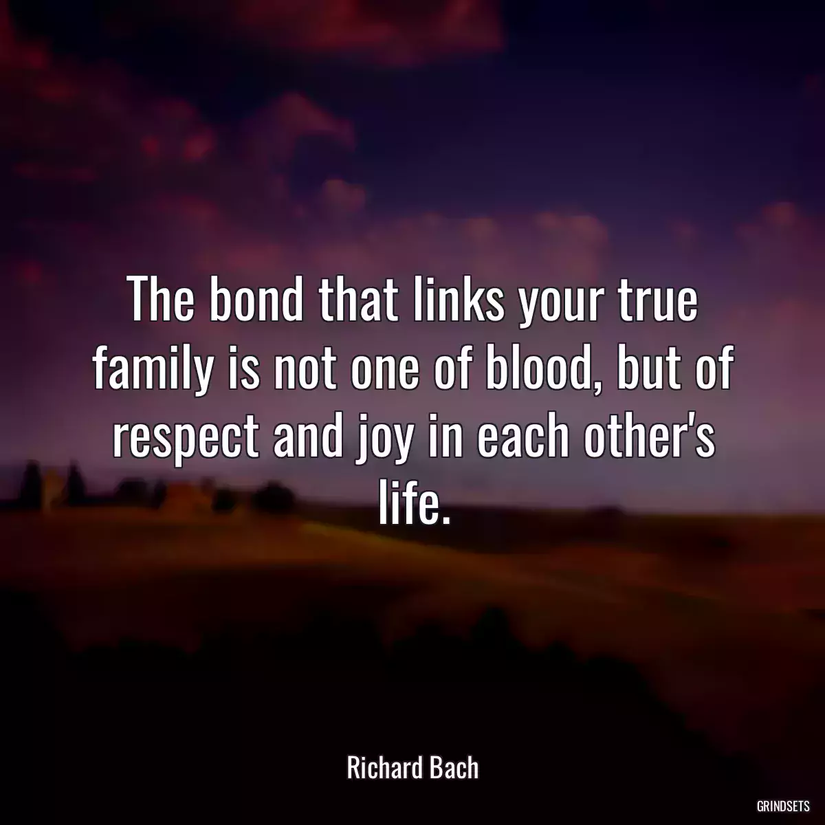 The bond that links your true family is not one of blood, but of respect and joy in each other\'s life.