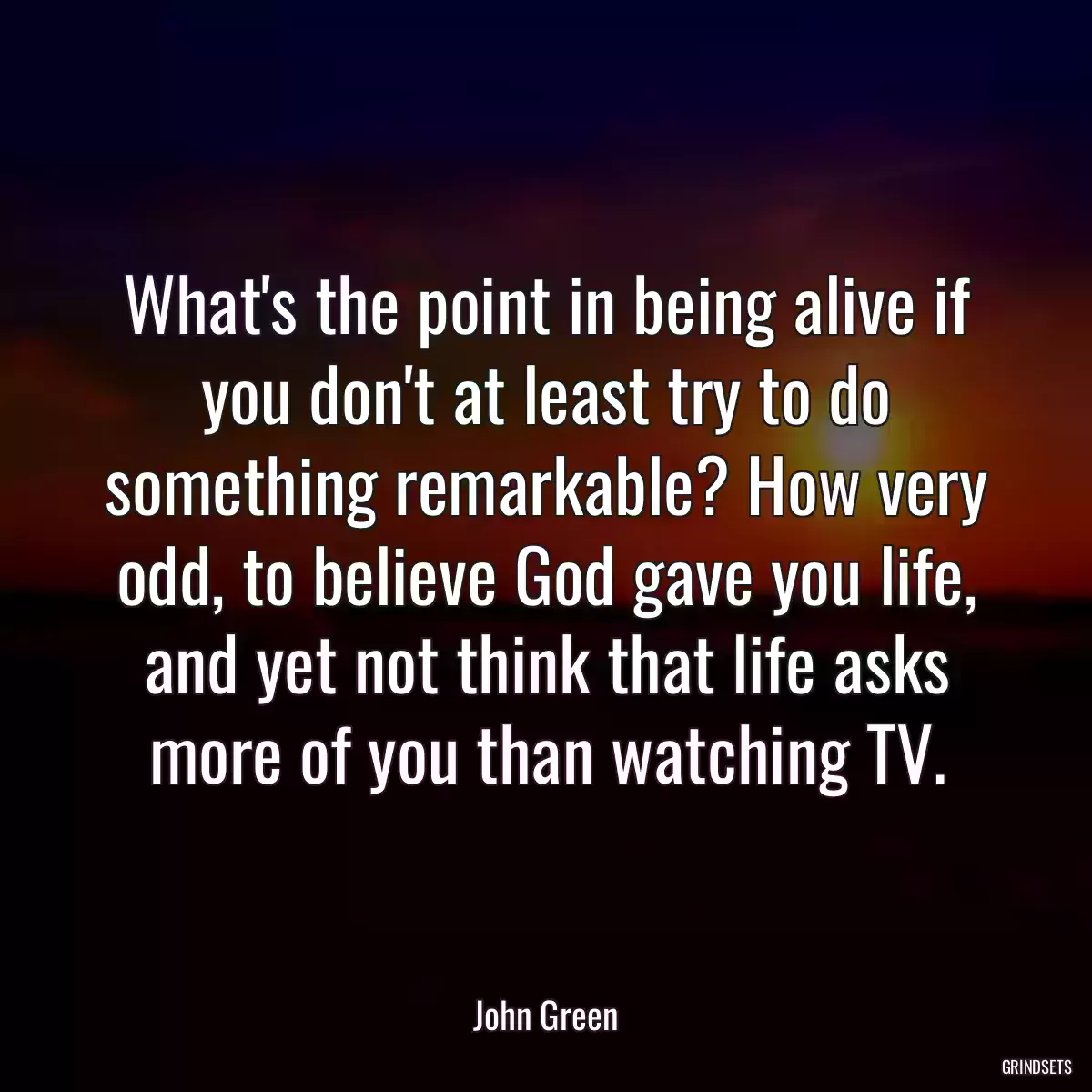 What\'s the point in being alive if you don\'t at least try to do something remarkable? How very odd, to believe God gave you life, and yet not think that life asks more of you than watching TV.