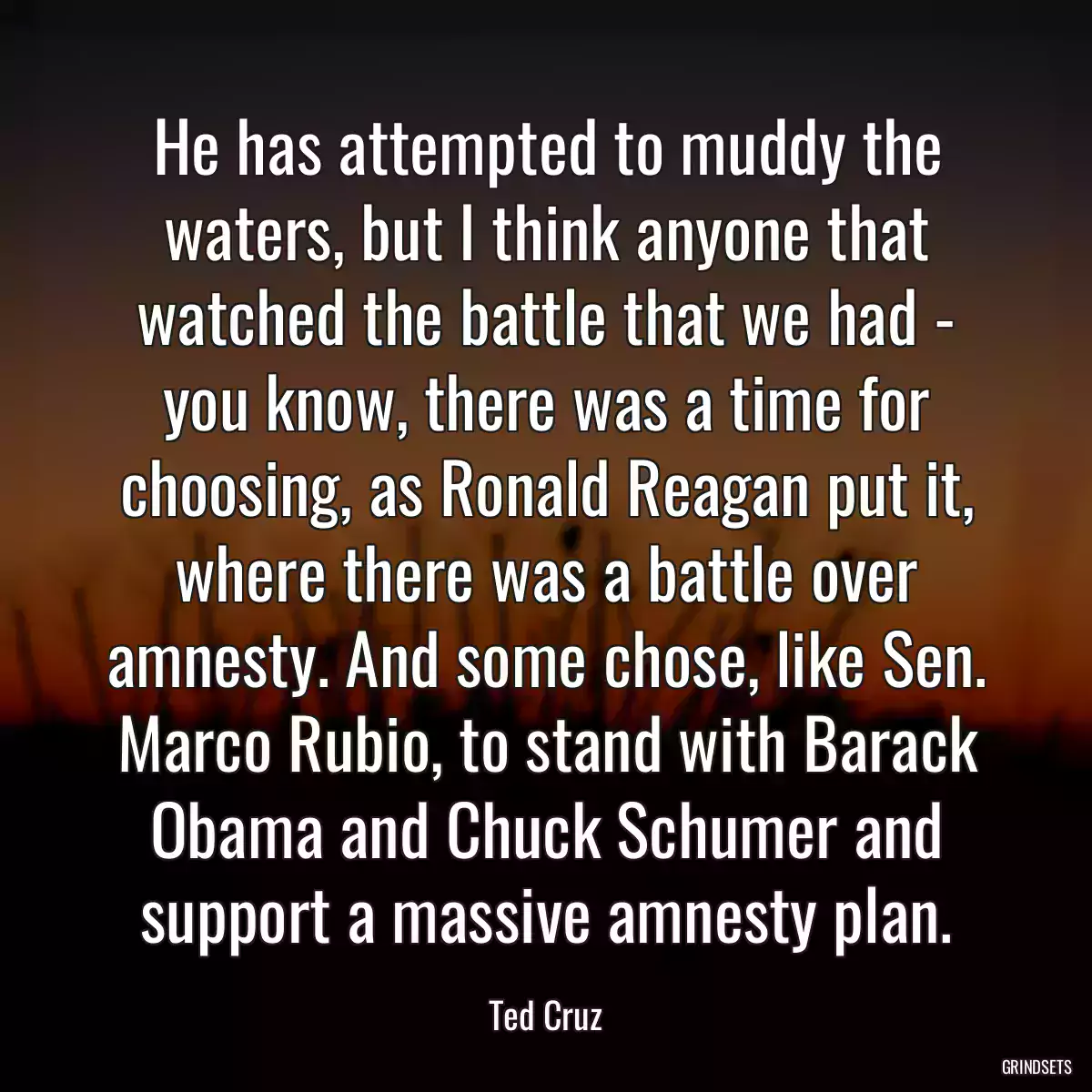 He has attempted to muddy the waters, but I think anyone that watched the battle that we had - you know, there was a time for choosing, as Ronald Reagan put it, where there was a battle over amnesty. And some chose, like Sen. Marco Rubio, to stand with Barack Obama and Chuck Schumer and support a massive amnesty plan.