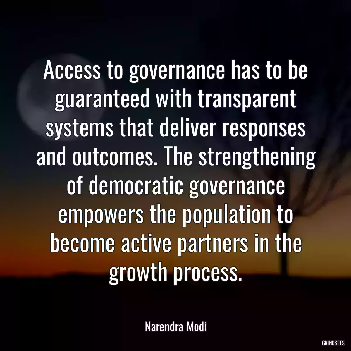 Access to governance has to be guaranteed with transparent systems that deliver responses and outcomes. The strengthening of democratic governance empowers the population to become active partners in the growth process.