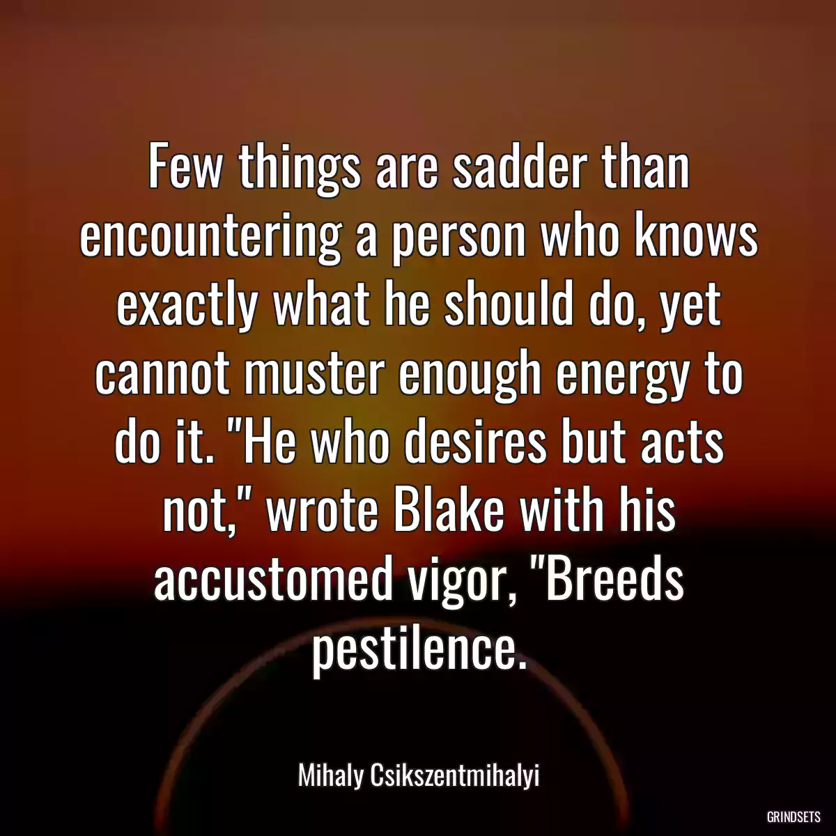 Few things are sadder than encountering a person who knows exactly what he should do, yet cannot muster enough energy to do it. \