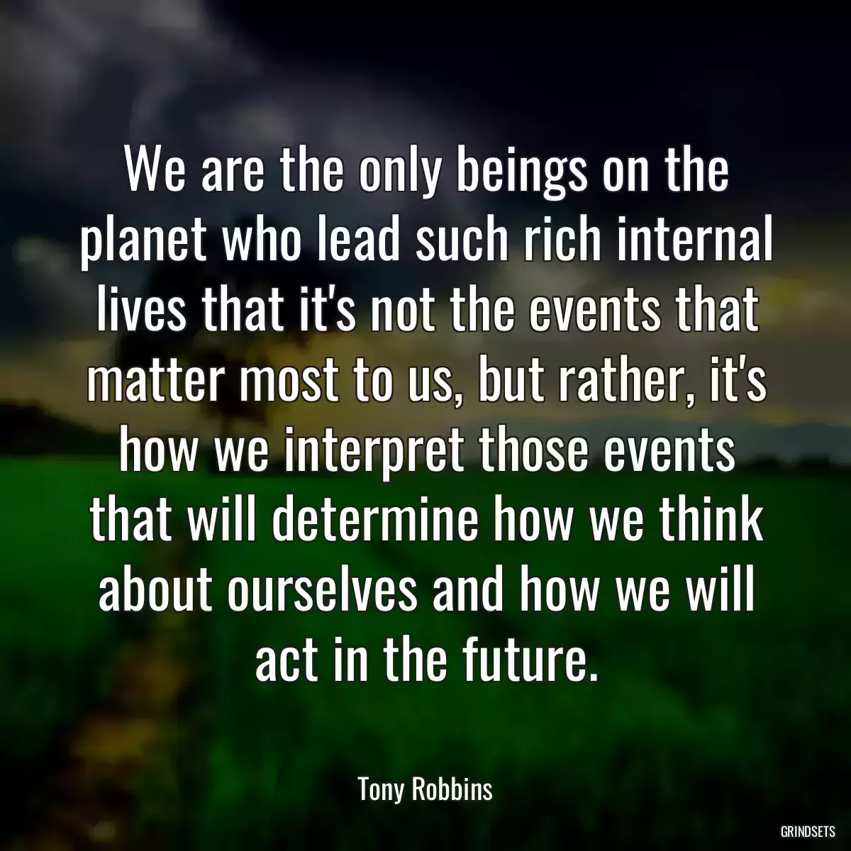 We are the only beings on the planet who lead such rich internal lives that it\'s not the events that matter most to us, but rather, it\'s how we interpret those events that will determine how we think about ourselves and how we will act in the future.