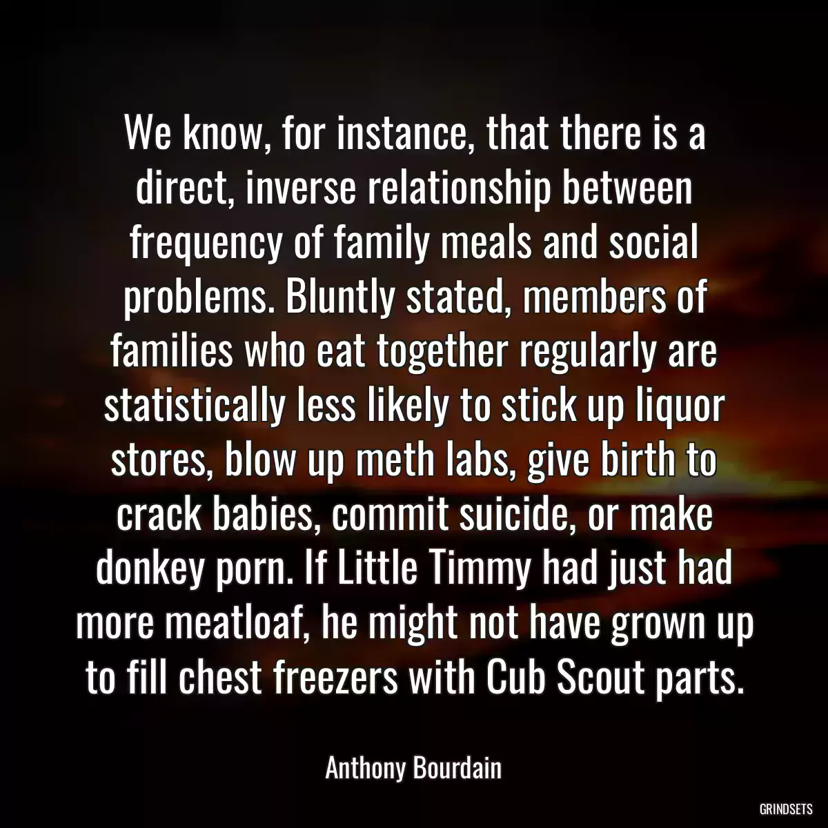 We know, for instance, that there is a direct, inverse relationship between frequency of family meals and social problems. Bluntly stated, members of families who eat together regularly are statistically less likely to stick up liquor stores, blow up meth labs, give birth to crack babies, commit suicide, or make donkey porn. If Little Timmy had just had more meatloaf, he might not have grown up to fill chest freezers with Cub Scout parts.