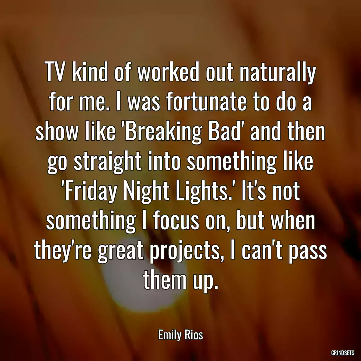 TV kind of worked out naturally for me. I was fortunate to do a show like \'Breaking Bad\' and then go straight into something like \'Friday Night Lights.\' It\'s not something I focus on, but when they\'re great projects, I can\'t pass them up.