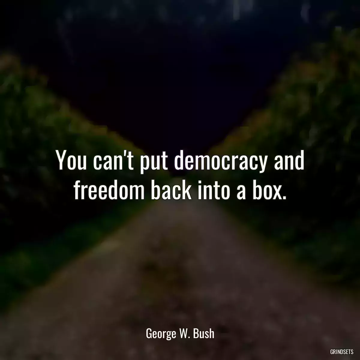 You can\'t put democracy and freedom back into a box.