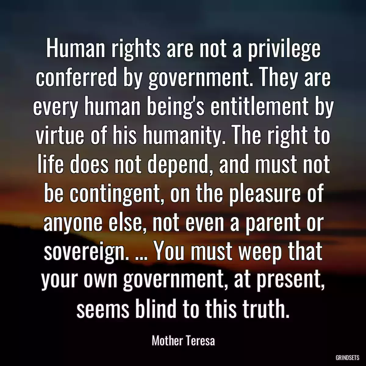 Human rights are not a privilege conferred by government. They are every human being\'s entitlement by virtue of his humanity. The right to life does not depend, and must not be contingent, on the pleasure of anyone else, not even a parent or sovereign. ... You must weep that your own government, at present, seems blind to this truth.