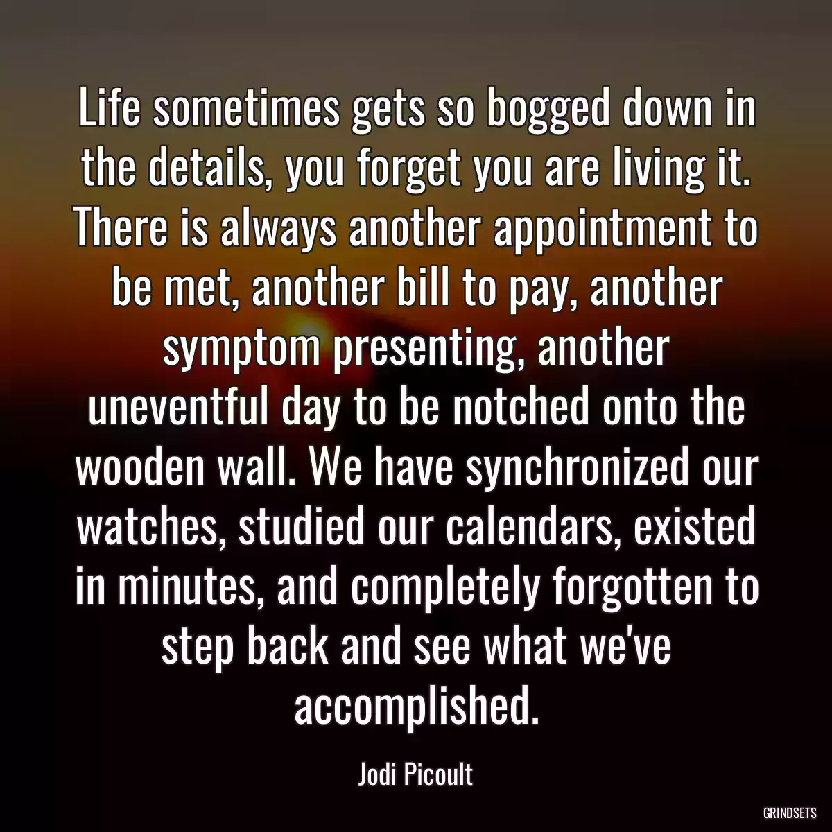 Life sometimes gets so bogged down in the details, you forget you are living it. There is always another appointment to be met, another bill to pay, another symptom presenting, another uneventful day to be notched onto the wooden wall. We have synchronized our watches, studied our calendars, existed in minutes, and completely forgotten to step back and see what we\'ve accomplished.