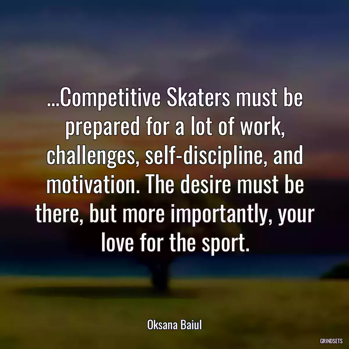 ...Competitive Skaters must be prepared for a lot of work, challenges, self-discipline, and motivation. The desire must be there, but more importantly, your love for the sport.