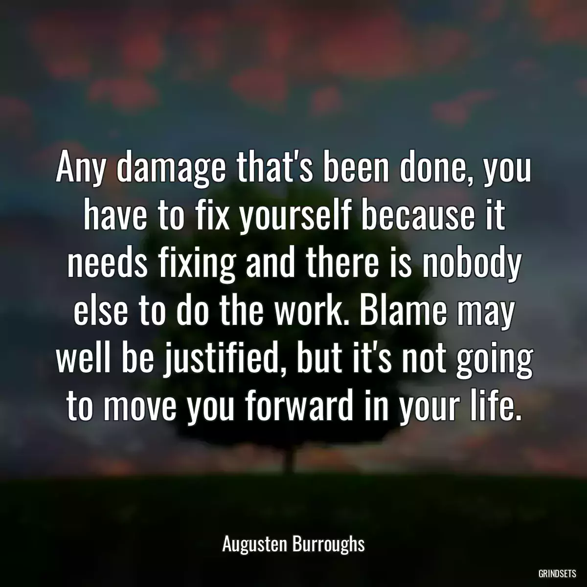 Any damage that\'s been done, you have to fix yourself because it needs fixing and there is nobody else to do the work. Blame may well be justified, but it\'s not going to move you forward in your life.