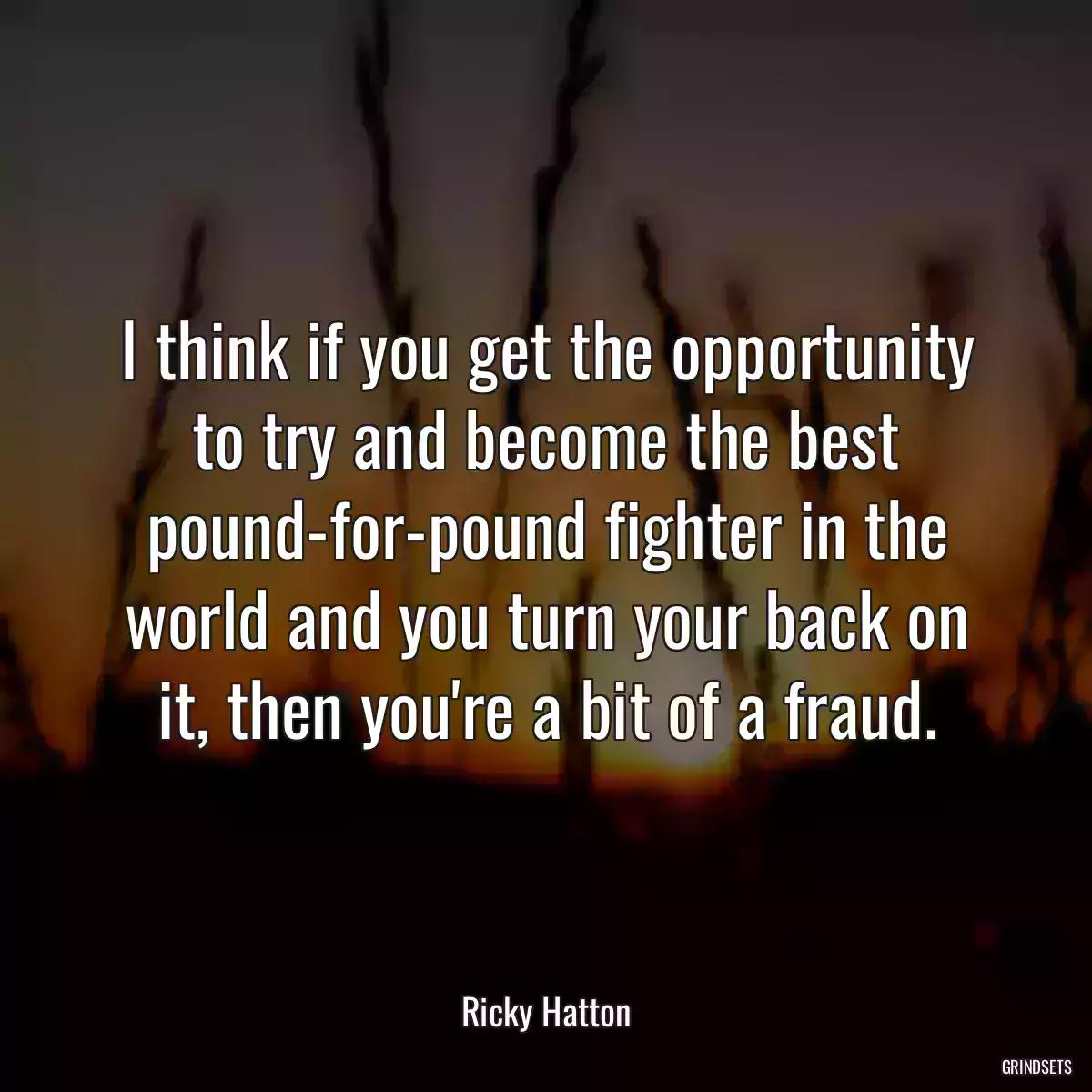 I think if you get the opportunity to try and become the best pound-for-pound fighter in the world and you turn your back on it, then you\'re a bit of a fraud.