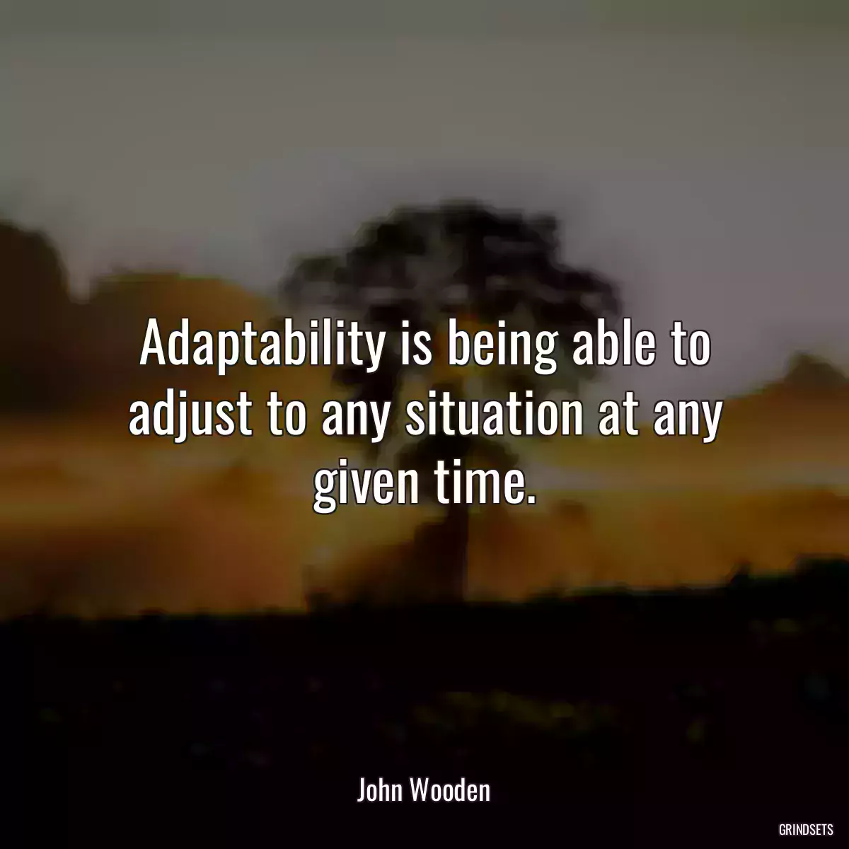 Adaptability is being able to adjust to any situation at any given time.