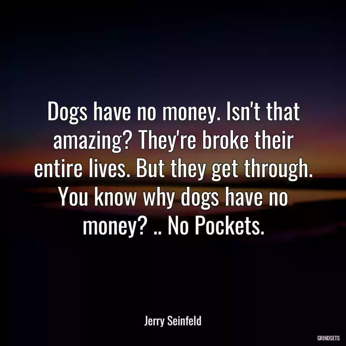 Dogs have no money. Isn\'t that amazing? They\'re broke their entire lives. But they get through. You know why dogs have no money? .. No Pockets.