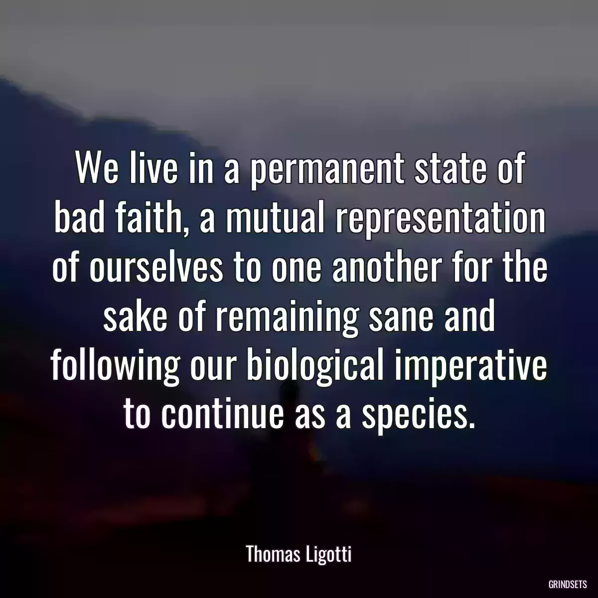 We live in a permanent state of bad faith, a mutual representation of ourselves to one another for the sake of remaining sane and following our biological imperative to continue as a species.