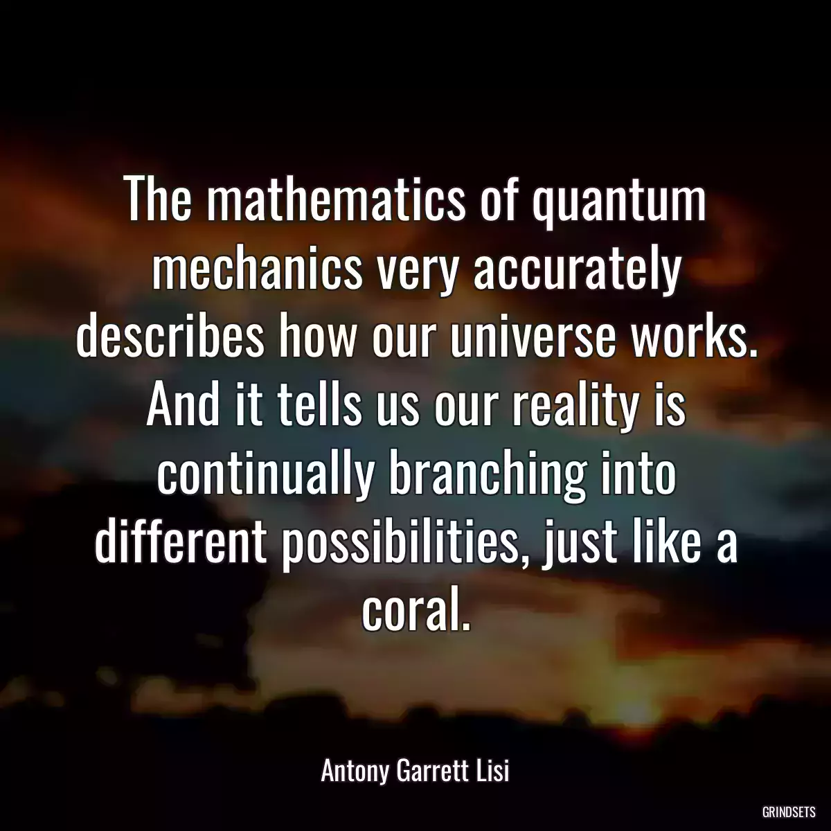 The mathematics of quantum mechanics very accurately describes how our universe works. And it tells us our reality is continually branching into different possibilities, just like a coral.