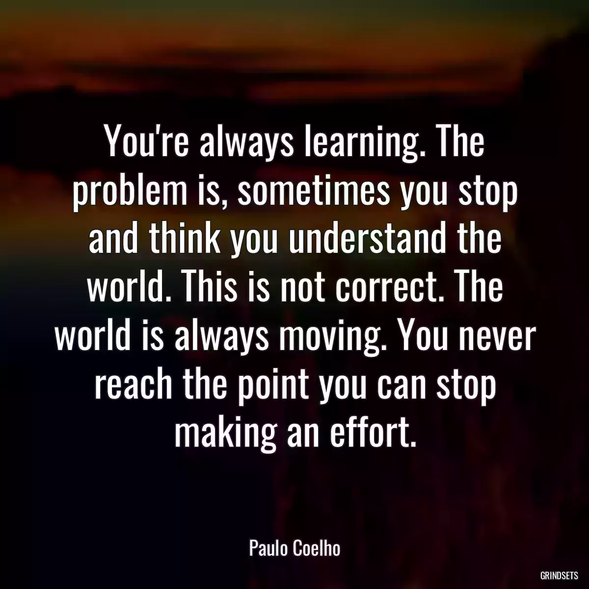 You\'re always learning. The problem is, sometimes you stop and think you understand the world. This is not correct. The world is always moving. You never reach the point you can stop making an effort.