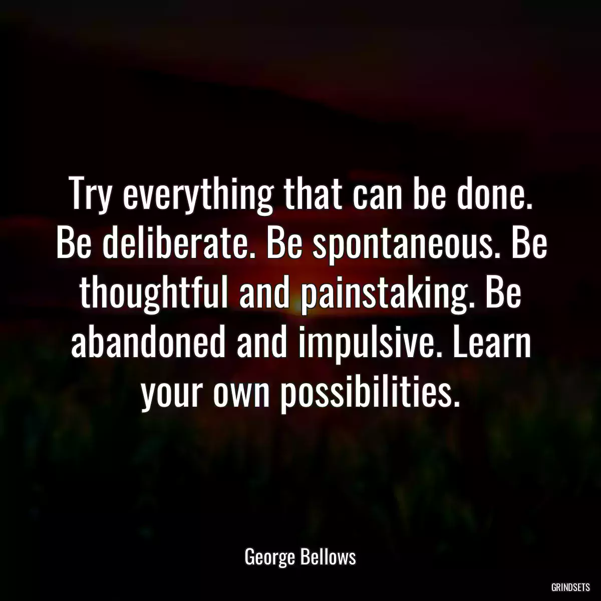 Try everything that can be done. Be deliberate. Be spontaneous. Be thoughtful and painstaking. Be abandoned and impulsive. Learn your own possibilities.