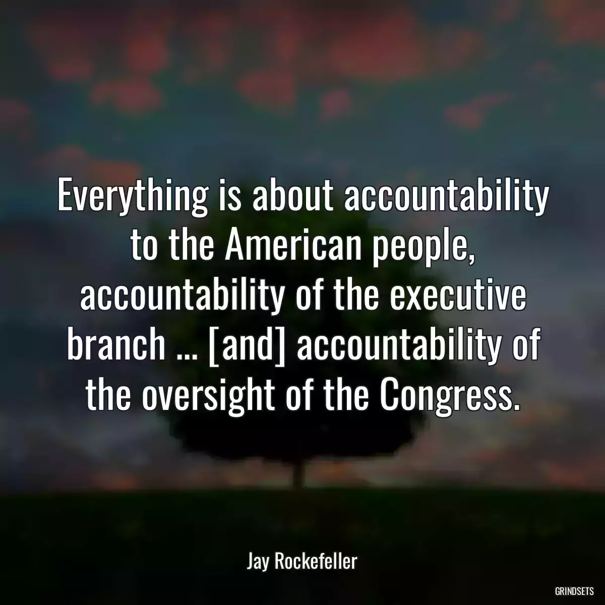 Everything is about accountability to the American people, accountability of the executive branch ... [and] accountability of the oversight of the Congress.