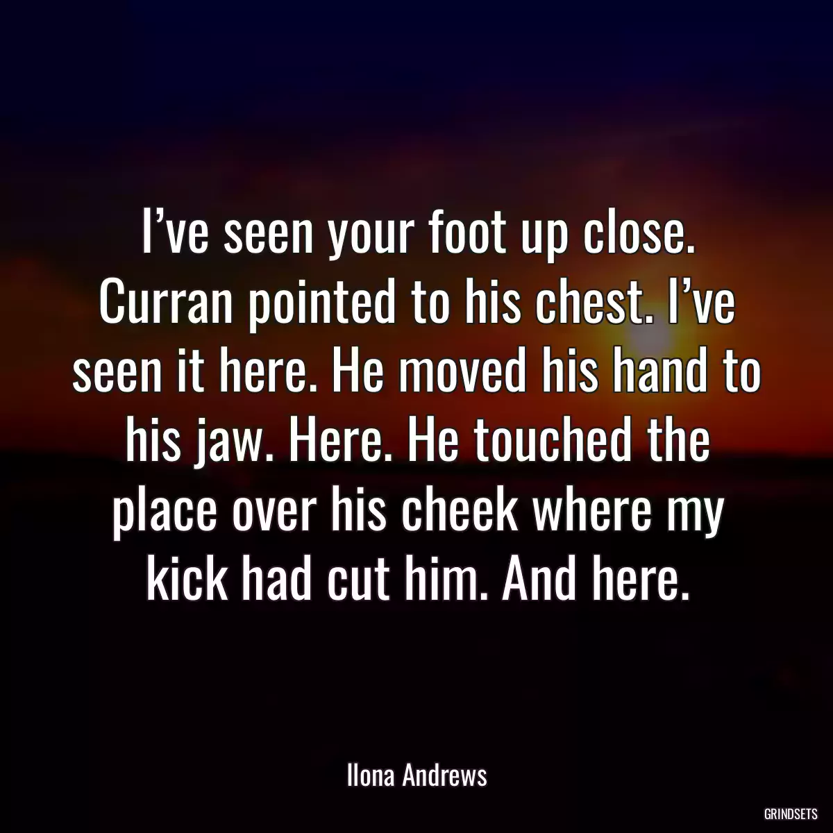 I’ve seen your foot up close. Curran pointed to his chest. I’ve seen it here. He moved his hand to his jaw. Here. He touched the place over his cheek where my kick had cut him. And here.