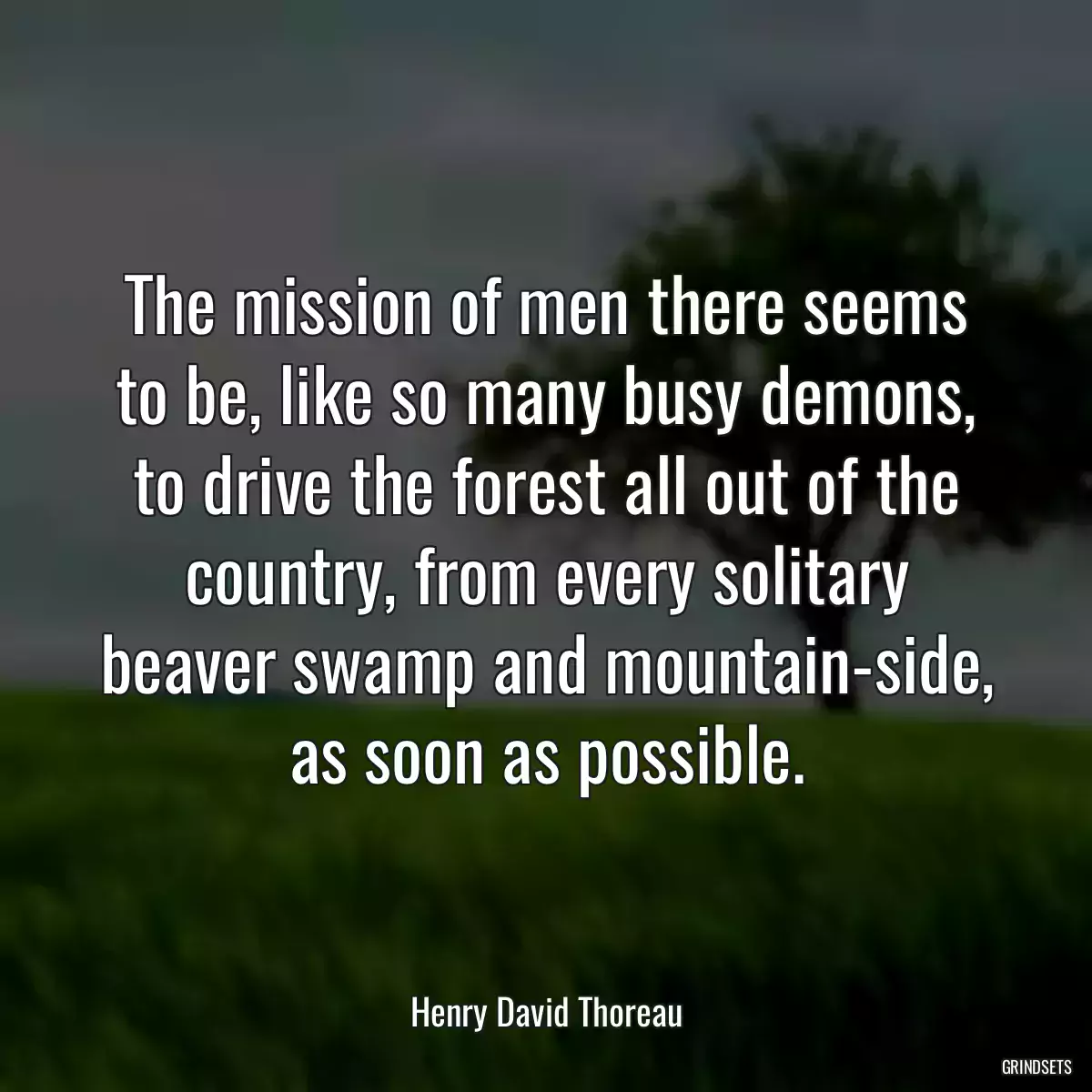 The mission of men there seems to be, like so many busy demons, to drive the forest all out of the country, from every solitary beaver swamp and mountain-side, as soon as possible.